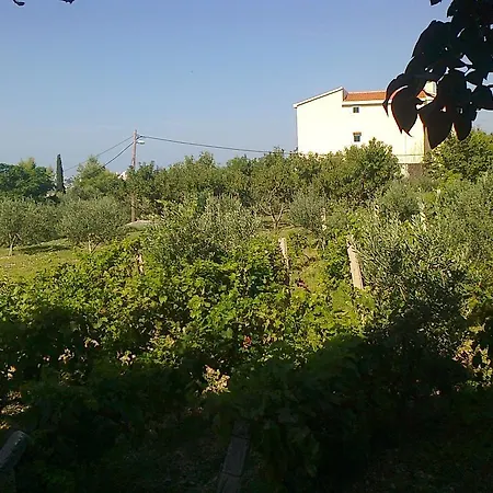 Peaceful Mravince