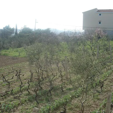 Peaceful Mravince