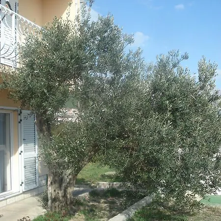 Peaceful Mravince